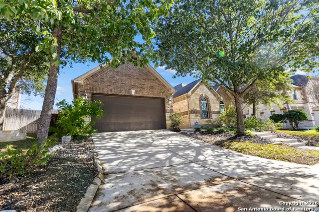 3843 Ox-eye Daisy, San Antonio, TX 78261 - Image #3
