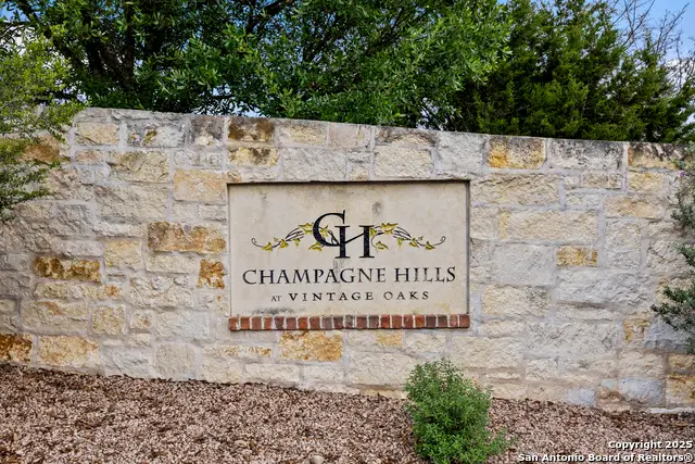 1324 Pinot Grigio, New Braunfels, TX 78132 - #3