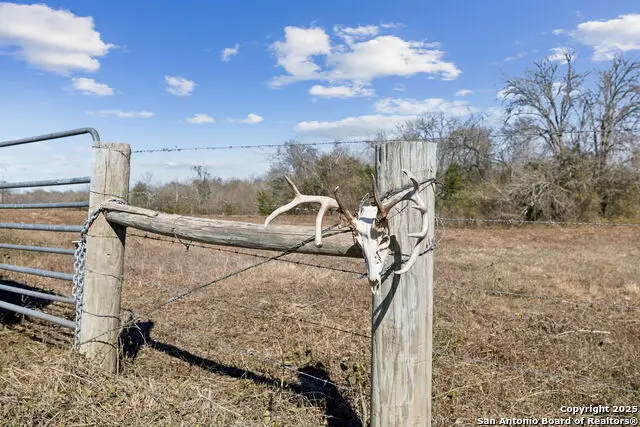 3424 Post Oak Point, New Ulm, TX 78950 - Image #3