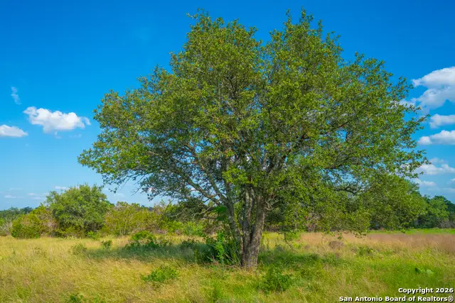 0 Vintage Oaks Ranch, Johnson City, TX 78636 - Image #3