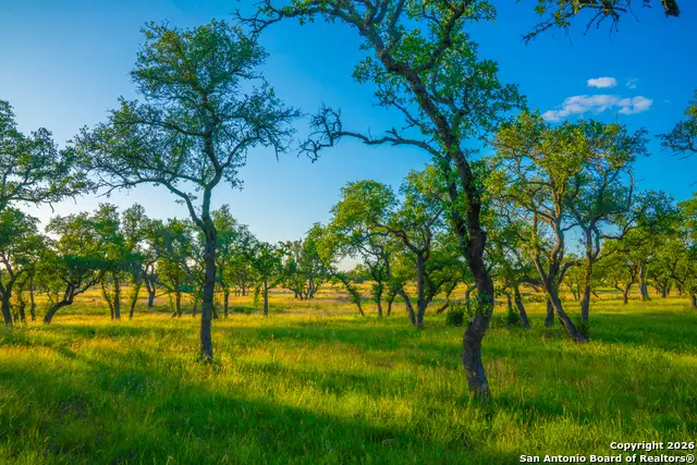 0 Bountiful Oaks Ranch, Johnson City, TX 78636 - Image #2