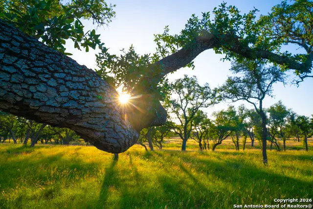 0 Bountiful Oaks Ranch, Johnson City, TX 78636 - Image #3