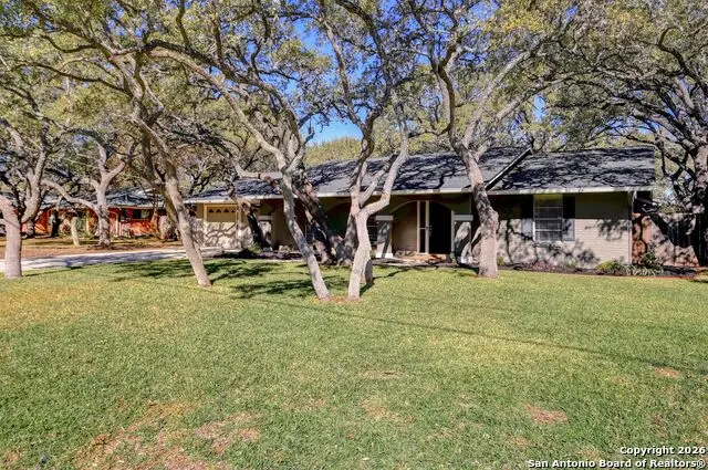 133 Garrapata Ln, Hollywood Park, TX 78232 - #3