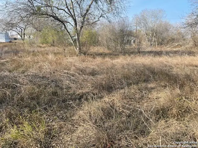 606 Cedar, Jourdanton, TX 78026 - Image #2