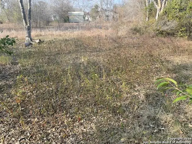 606 Cedar, Jourdanton, TX 78026 - Image #3