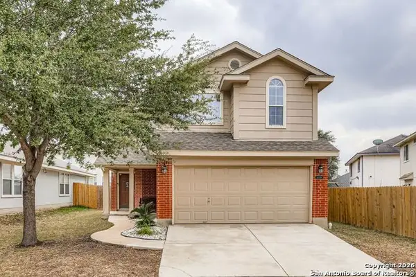 14310 Yellow Warbler, San Antonio, TX 78233