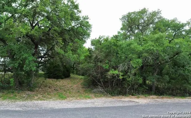 LOT 270 Forest Clfs, San Antonio, TX 78253 - Image #2