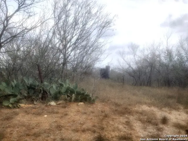 0 Schneider Rd, Seguin, TX 79155 - Image #1