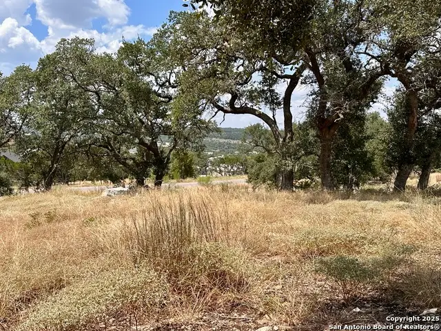 1426 Trailhead, New Braunfels, TX 78132 - Image #3
