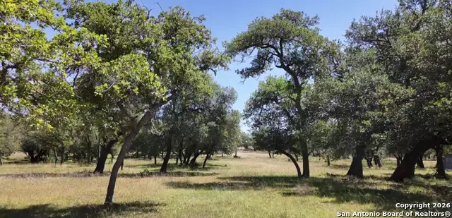 707 Treibs Rd, Fredericksburg, TX 78624 - #3