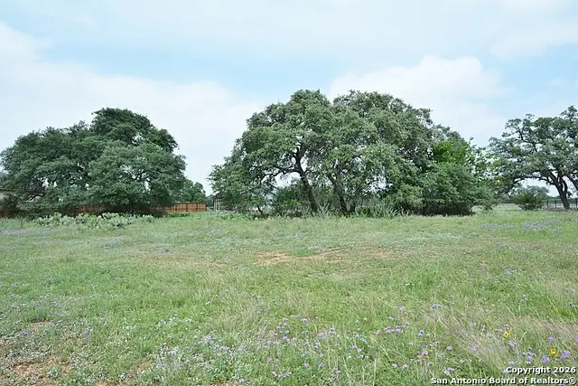 124 Hiram Cook, Blanco, TX 78606 - #3