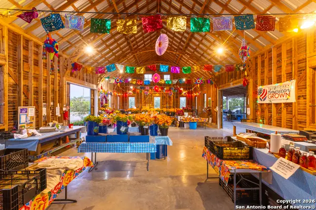 13977 Ranch Road 2325, Blanco, TX 78606 - Image #3