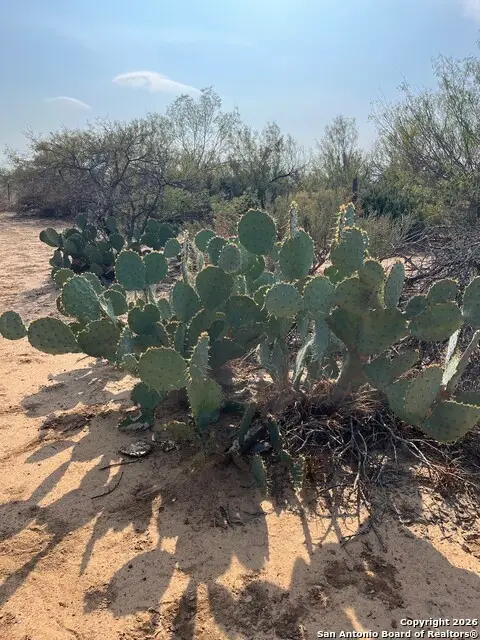 87 Quinney, Carrizo Springs, TX 78834 - #2