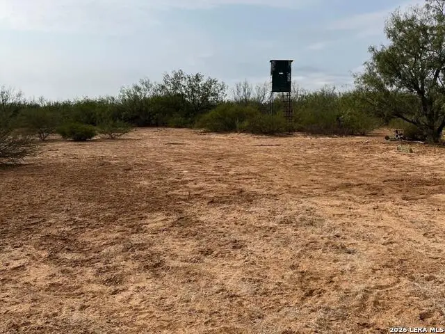 87 Quinney, Carrizo Springs, TX 78834 - #3