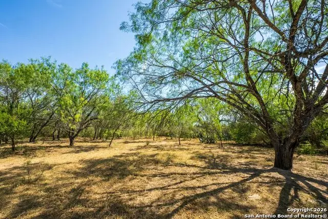 CR 732 Cr, Yancey, TX 78886 - #3