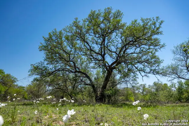 2731 County Road 770, Natalia, TX 78059 - #2