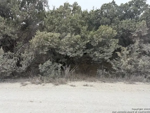 1372 Laguna Dr., Spring Branch, TX 78070