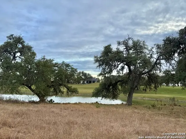 102 Savannah Ct, Blanco, TX 78606 - Image #2