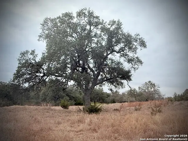 102 Savannah Ct, Blanco, TX 78606 - Image #3