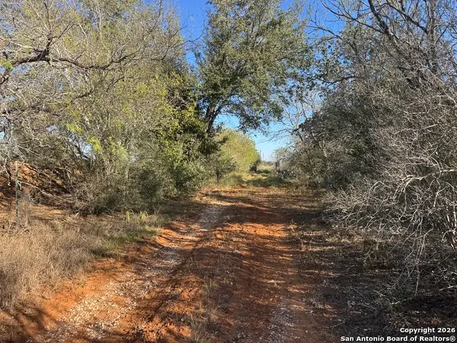 00 Rodriguez Acres Pr, Jourdanton, TX 78026 - Image #2