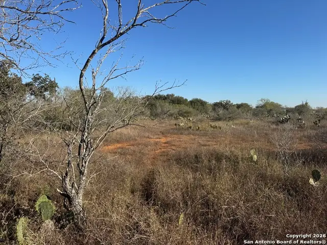 00 Rodriguez Acres Pr, Jourdanton, TX 78026 - Image #3