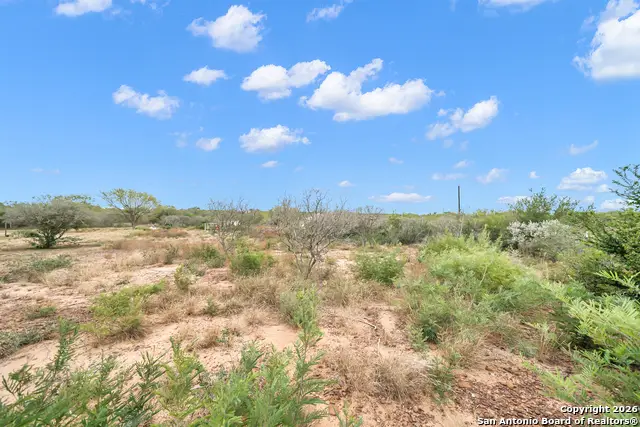 138 County Road 2665, Devine, TX 78016 - #2