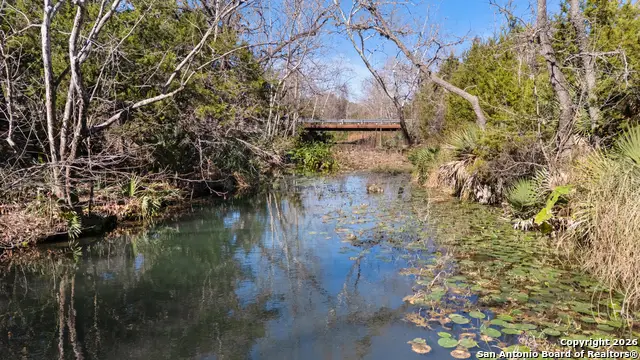 1075 Pegasus Dr, Spring Branch, TX 78070 - #3