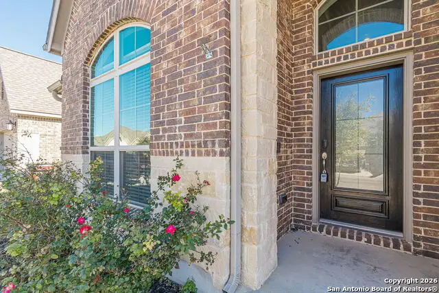 8826 Haystack, San Antonio, TX 78254 - Image #3