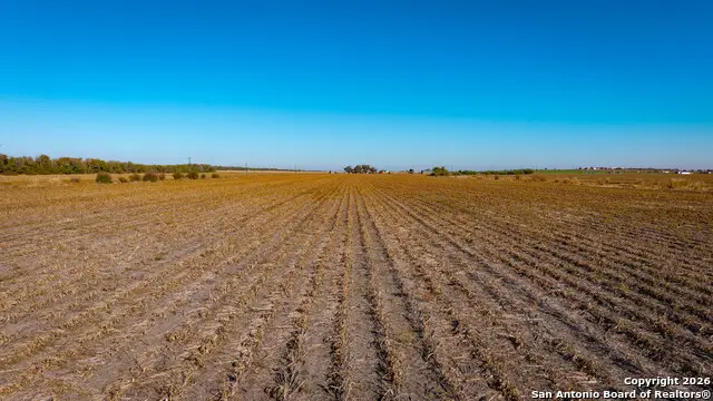 TBD County Road 5715, Natalia, TX 78059 - #2