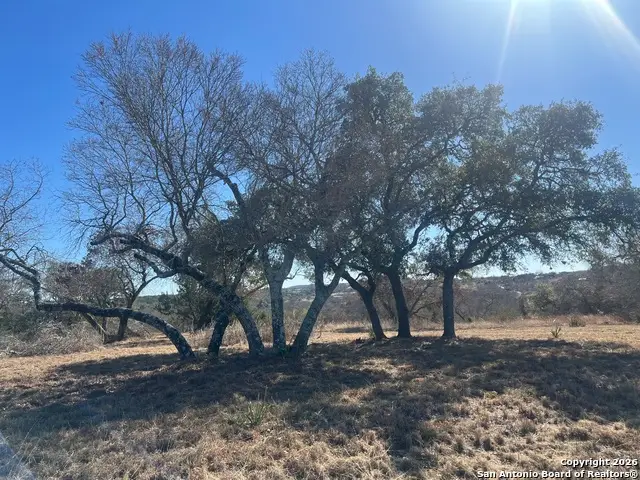 2 Zinfandel, Comfort, TX 78013 - #3