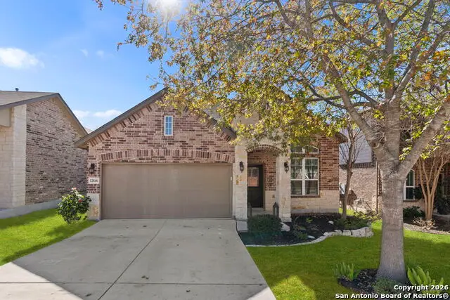 12846 Lone Star Leaf, San Antonio, TX 78253 - Image #2