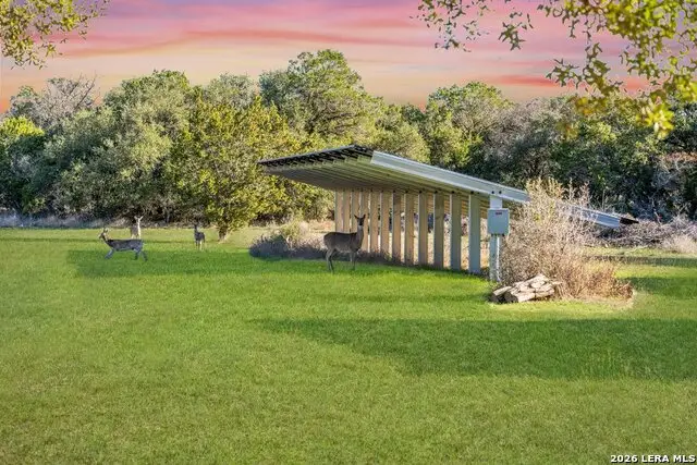 6125 Wegner Road, New Braunfels, TX 78132 - Image #3