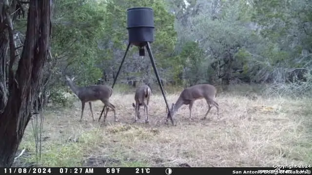 890 County Road 246, Hondo, TX 78861 - Image #1