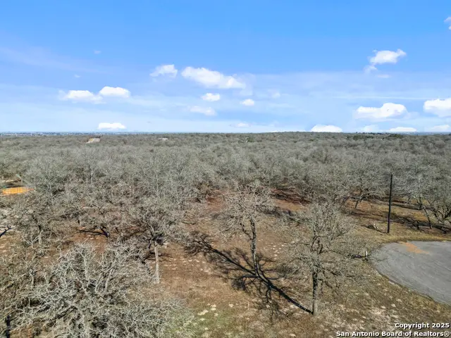 161 Hondo Ridge, La Vernia, TX 78121 - #3