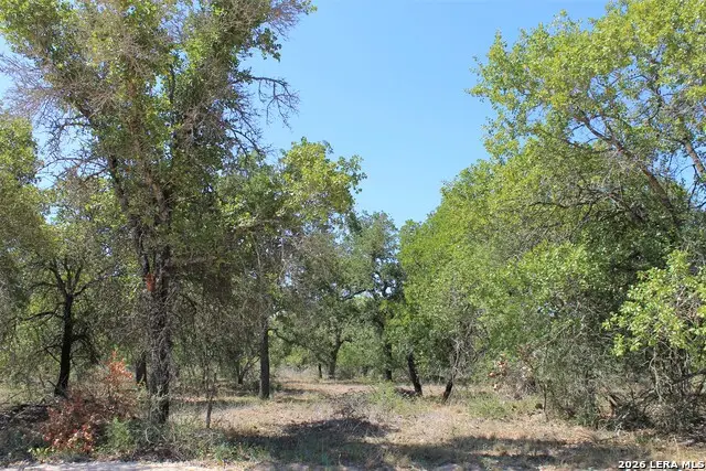 11913 W Fm 476, Somerset, TX 78069 - Image #1