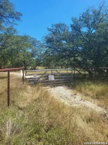 346 Ammann, Boerne, TX 78015 - Image #3