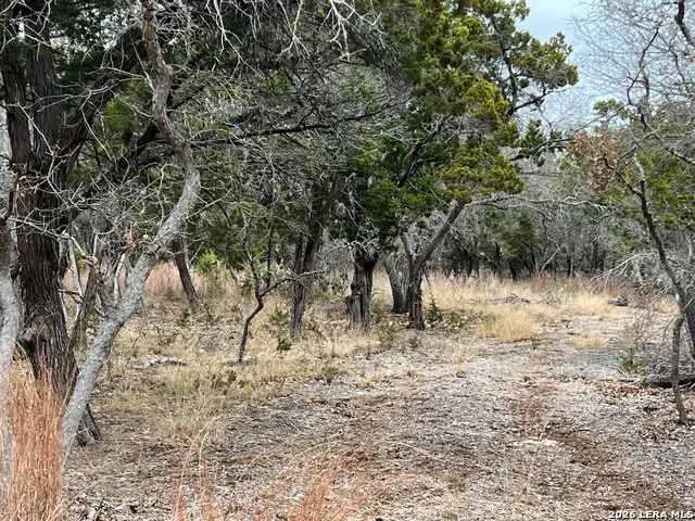 315 Horseshoe Bend, Boerne, TX 78006 - Image #3