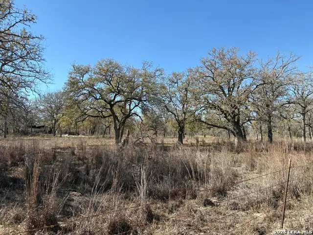 165 Littlehorn Lane, La Vernia, TX 78121 - #3