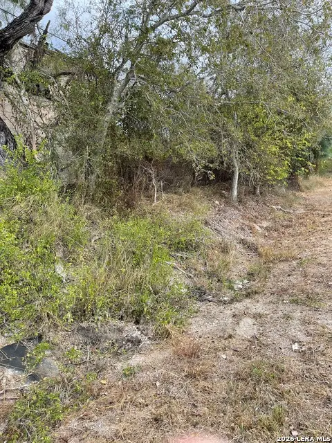 TBD N Highway 37 Access, Three Rivers, TX 78071 - #1
