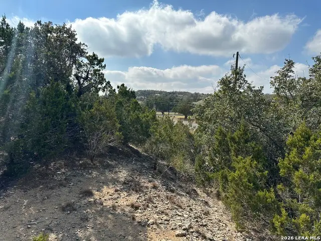 27110 Bumble Bee, San Antonio, TX 78260 - Image #3