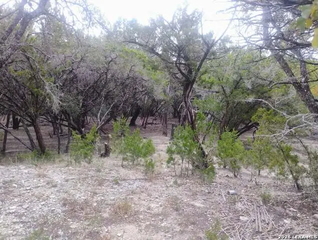 0 Frio, Bandera, TX 78003 - #2