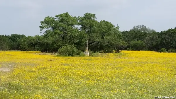 1263 Agaritaville, Spring Branch, TX 78070