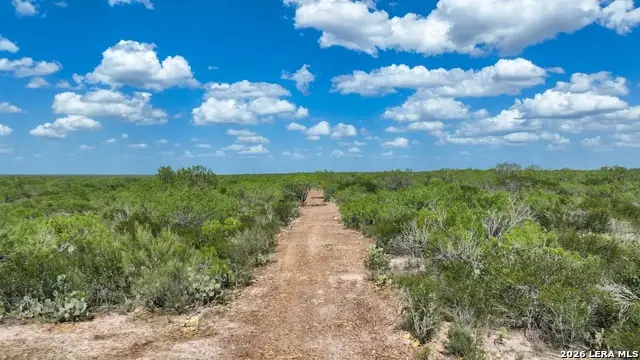 0000 Cameron Ln, Fowlerton, TX 78021 - #3