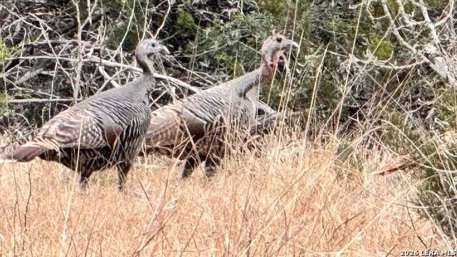 884 Sd 16010, Rocksprings, TX 78880 - Image #2