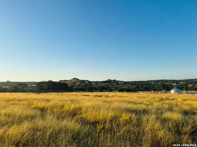 LOT 1 Purple Sage, Blanco, TX 78606 - #1