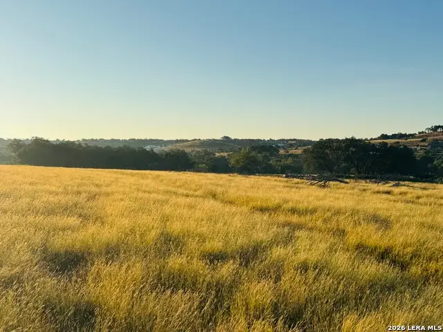 LOT 1 Purple Sage, Blanco, TX 78606 - #3