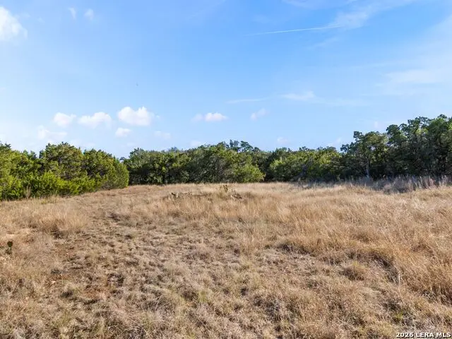 2025 Stagecoach Way, Canyon Lake, TX 78133 - #3