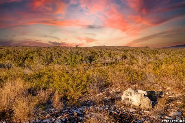 380 Doe, Uvalde, TX 78801 - #3