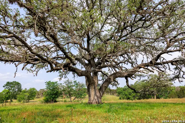 000 Clearwater Ranches 19, Comfort, TX 78013 - #2