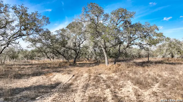 2703 Cr 770, Natalia, TX 78059 - #2